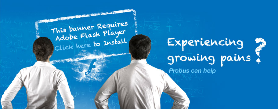 Probus Consulting Group Banner